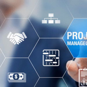 Project Management Professional (PMP®) (PMI_03)