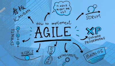 Disciplined Agile Programs