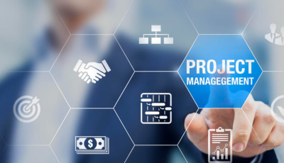 Project Management Professional (PMP)